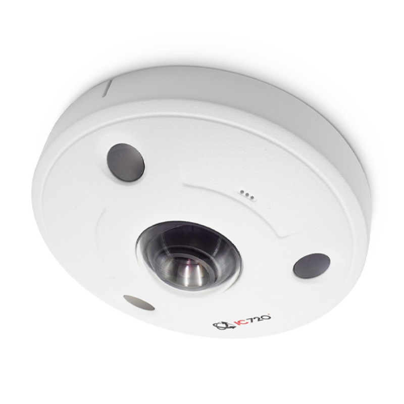 F12FIRW2: 12MP IP Indoor/Outdoor 260 Spherical Dome Camera
