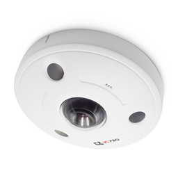 F12FIRW2: 12MP IP Indoor/Outdoor 260 Spherical Dome Camera