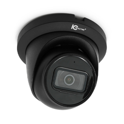 4MP Sm Eyeball Dome, in/Outdoor, 2.8MM Fixed Lens, Smart IR - Black