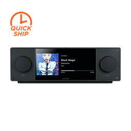 Streaming Integrated Amplifier