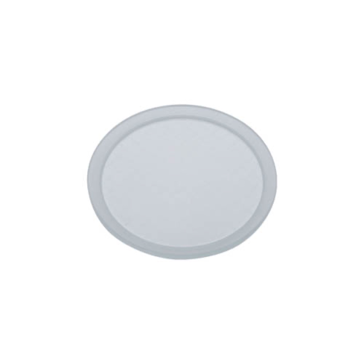 Landscape Inground Non Slip Lens