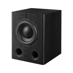 Synthesis 12IN Powered Subwoofer